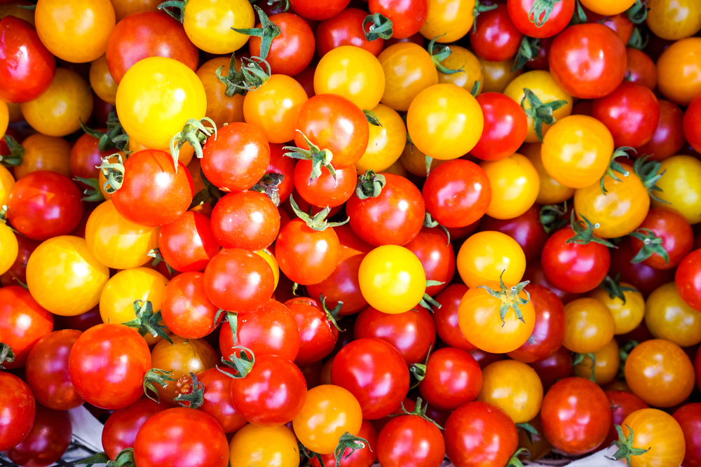Background,Of,Small,Yellow,And,Red,Tomatoes